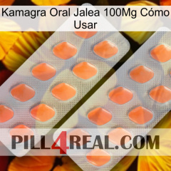 Kamagra Oral Jalea 100Mg Cómo Usar 27